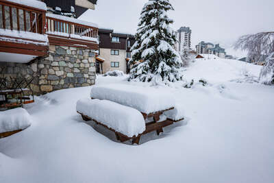 Sapins recouverts de neige fraîche au bord du lac de Tignes